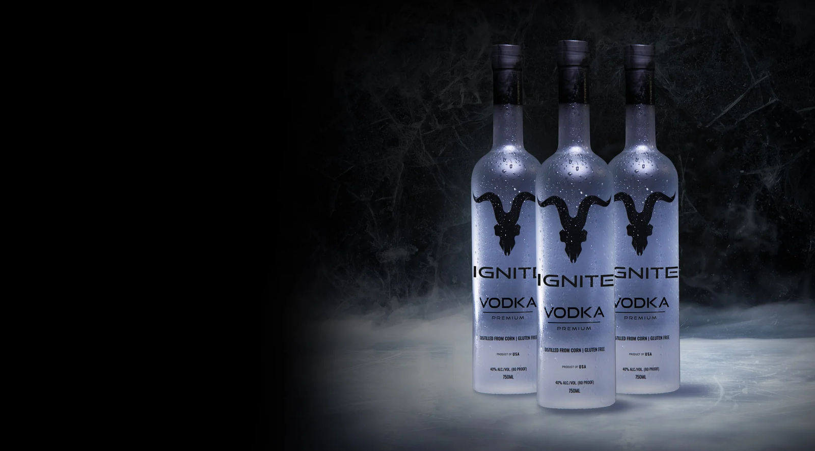 ignite-brand-ritzania