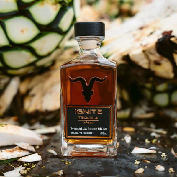 ignite-brand-ritzania