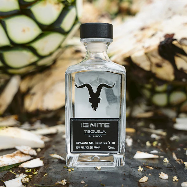 ignite-brand-ritzania