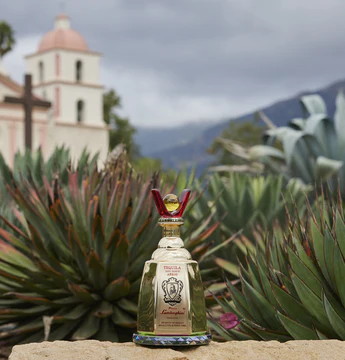 lamborghini-tequila-anejo-brand-ritzania